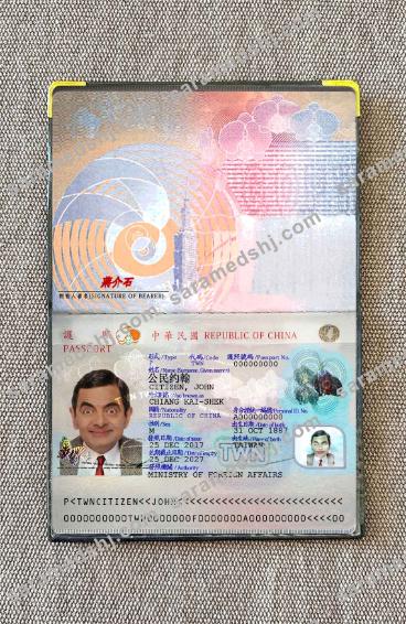 Taiwan Pass 2021-present photo look